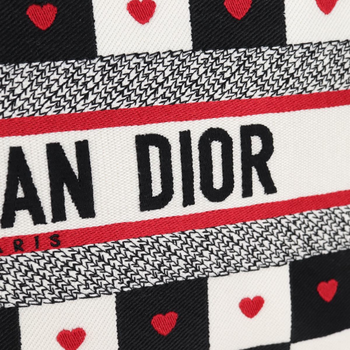 Dior Book Tote