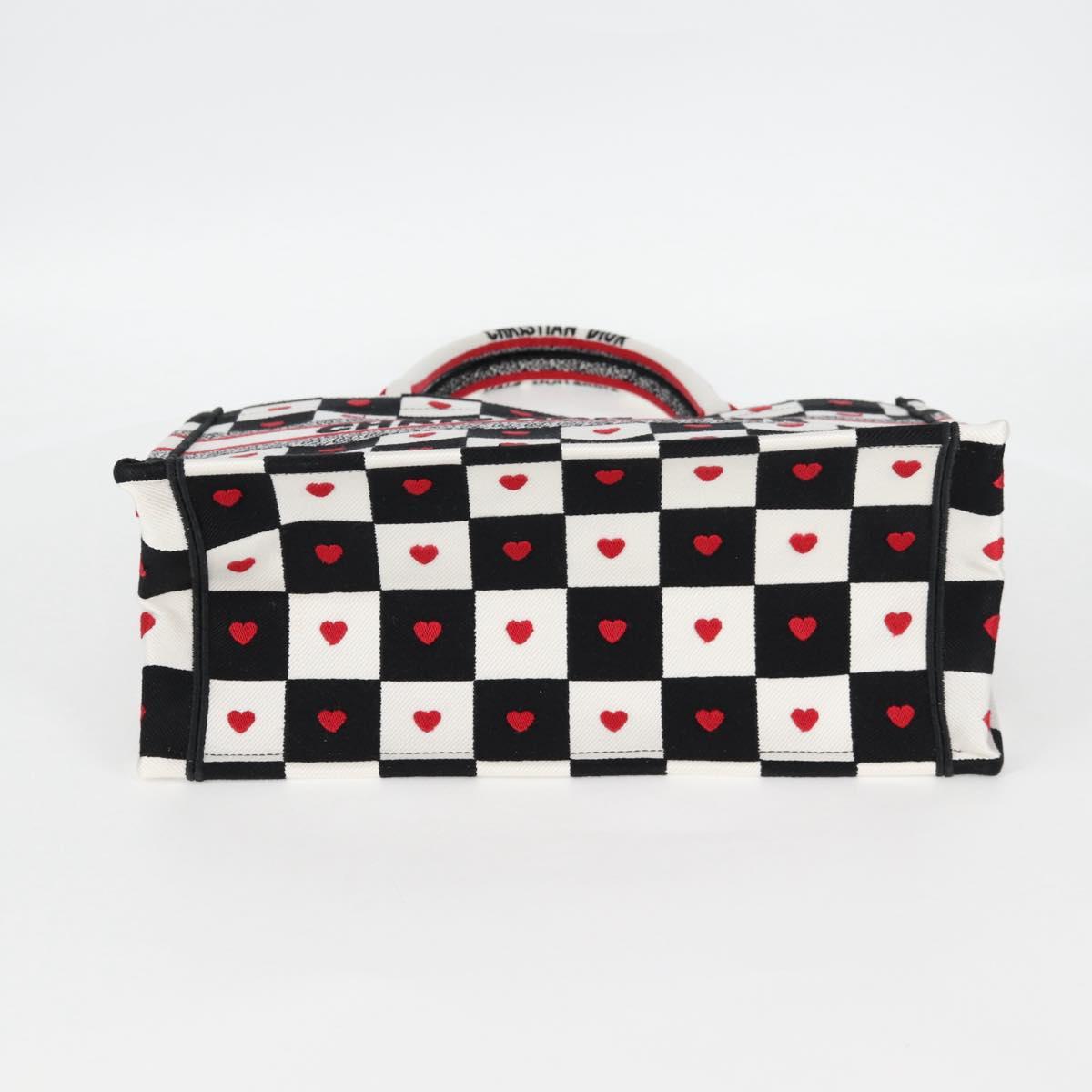 Dior Book Tote