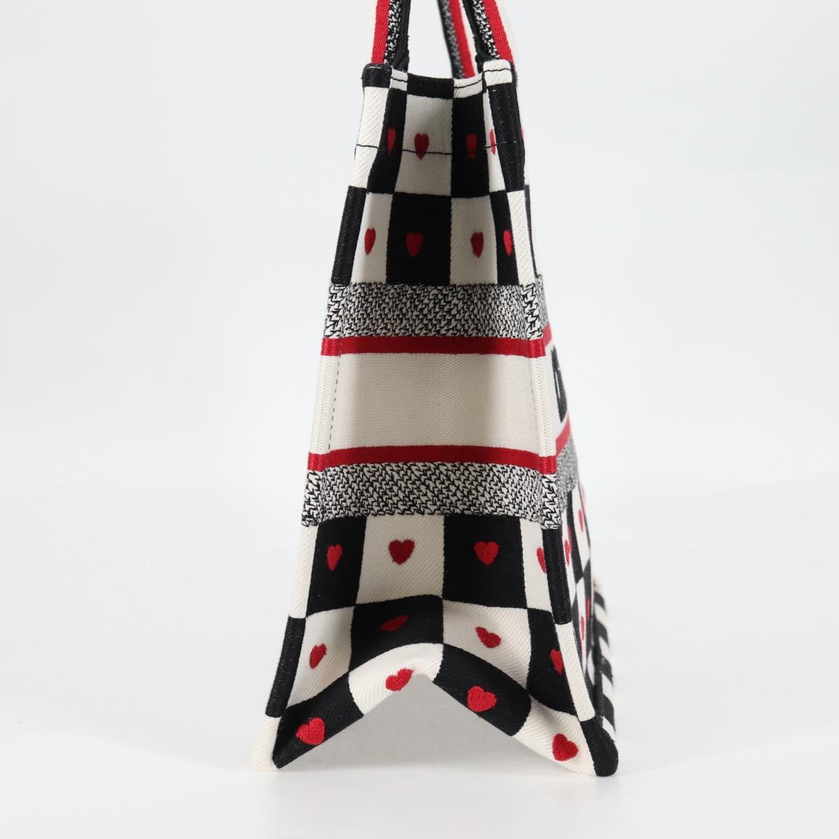 Dior Book Tote