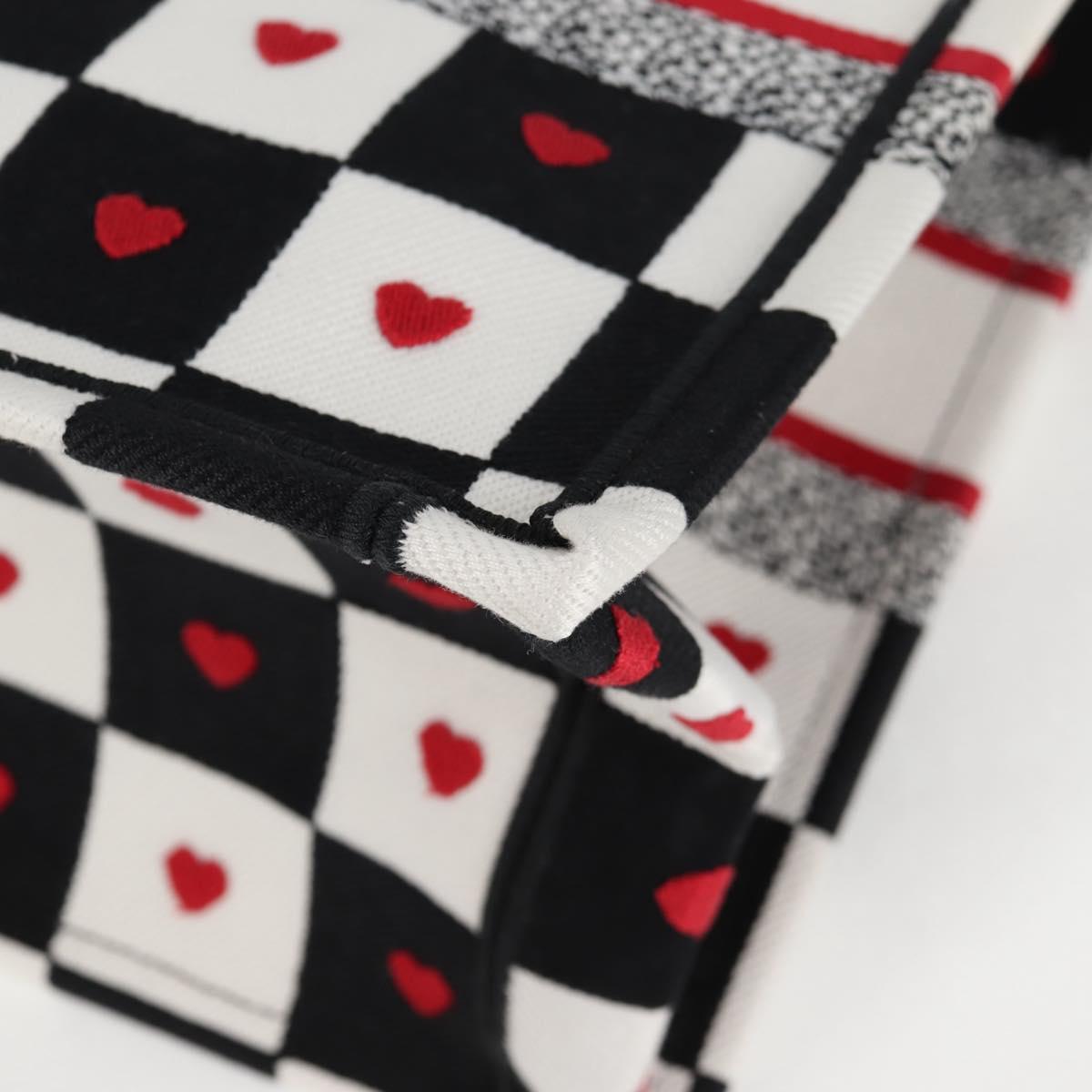 Dior Book Tote