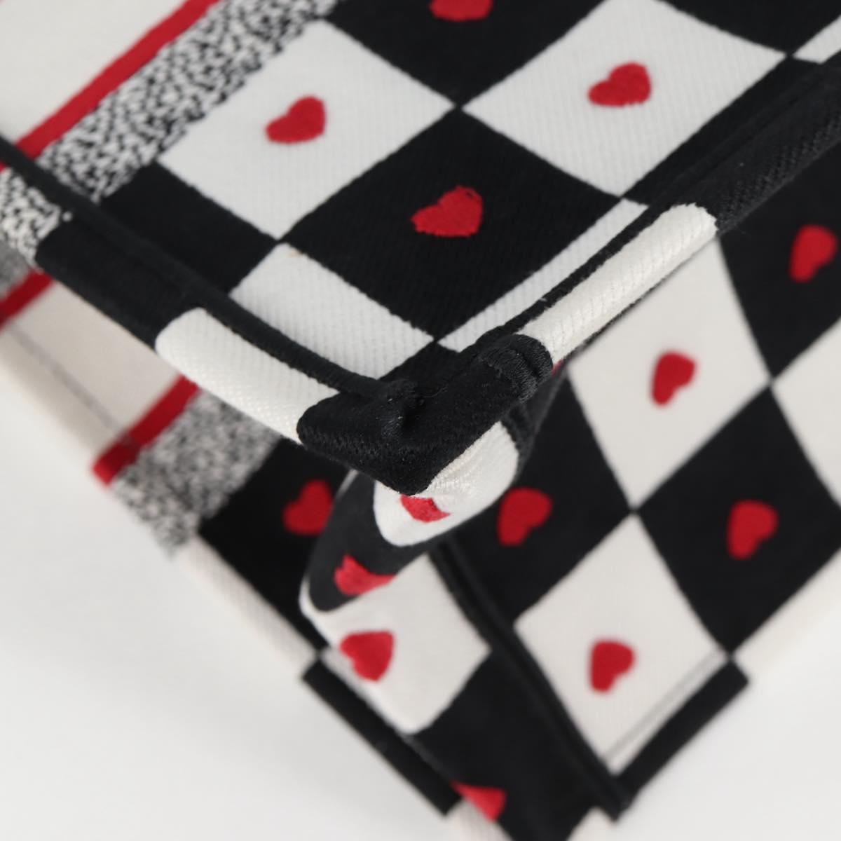 Dior Book Tote
