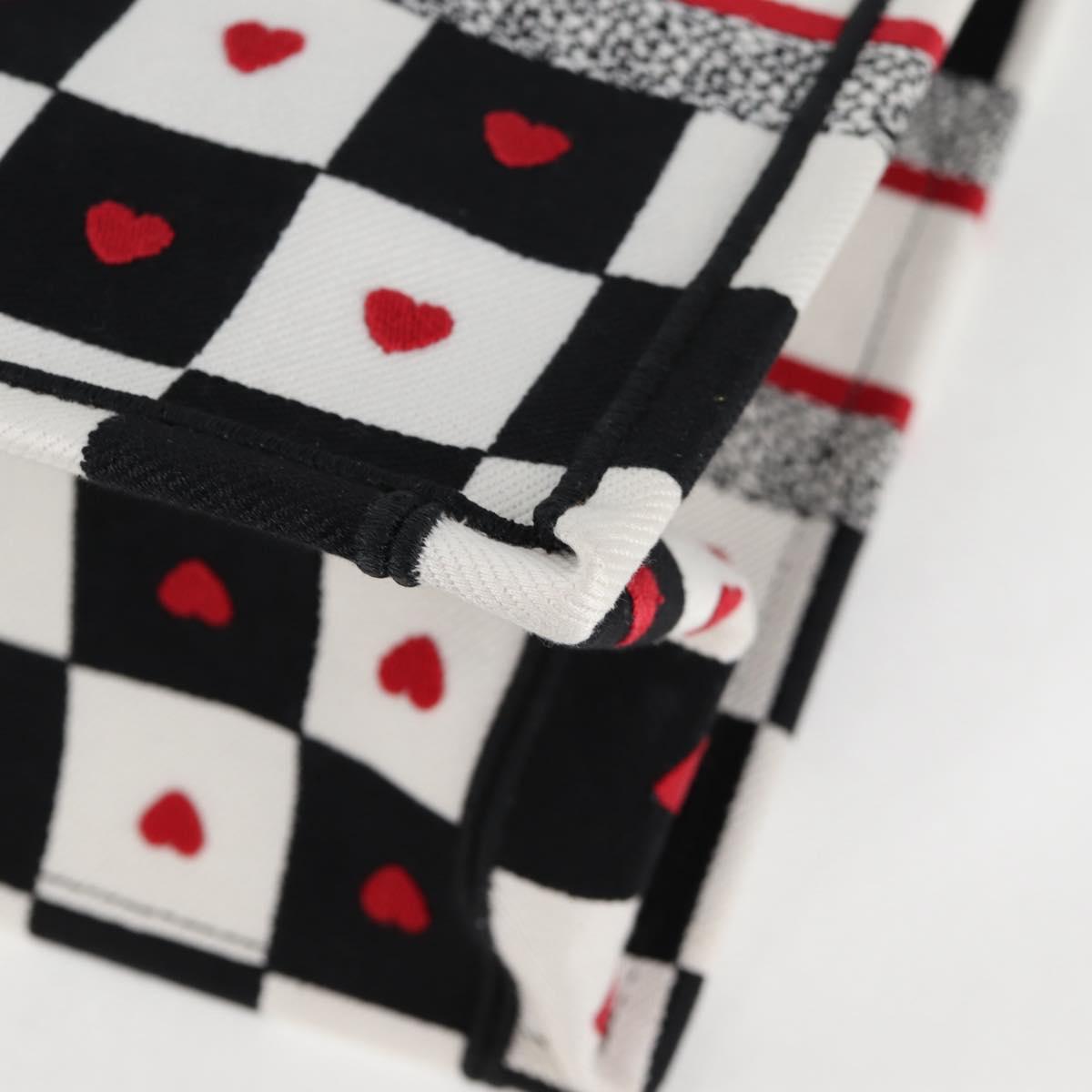 Dior Book Tote