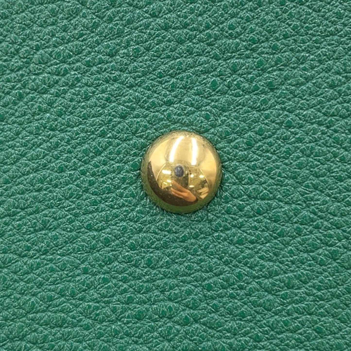 Gucci Diana