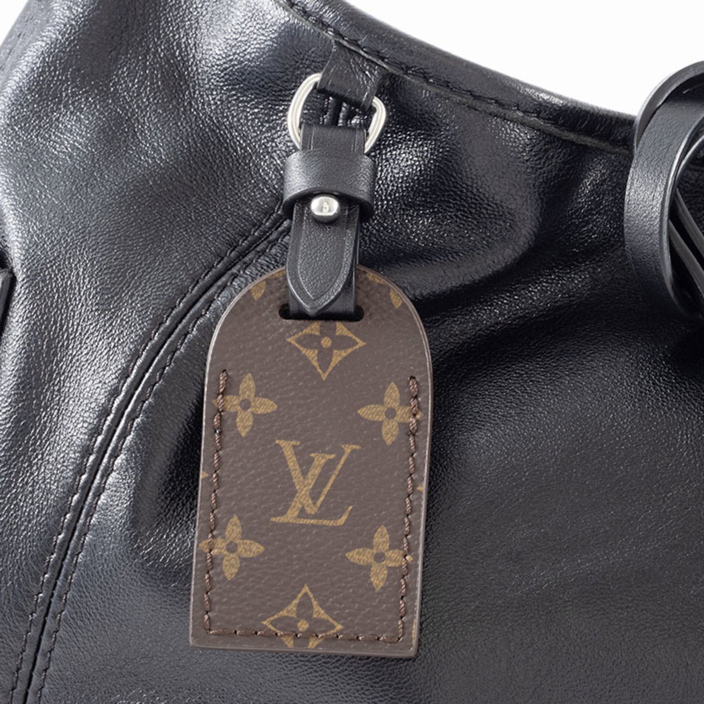 Louis Vuitton Carry All