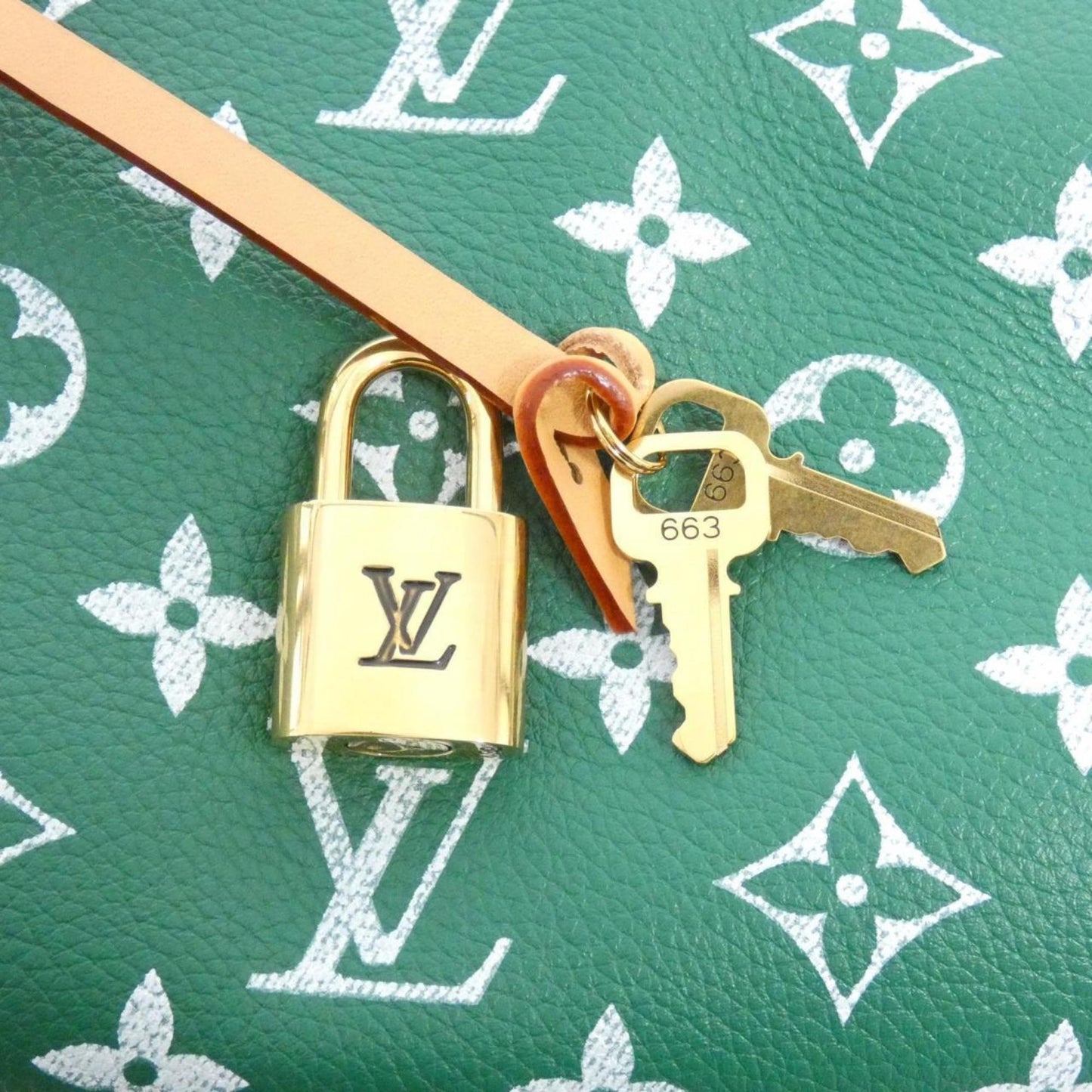 Louis Vuitton Speedy bandoulière 25