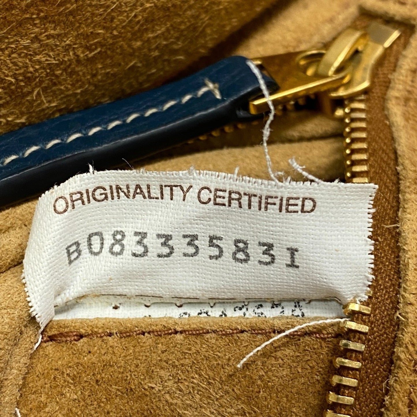 Bottega Veneta Arco
