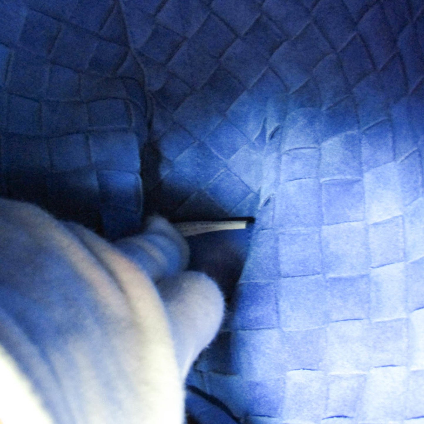 Bottega Veneta Intrecciato