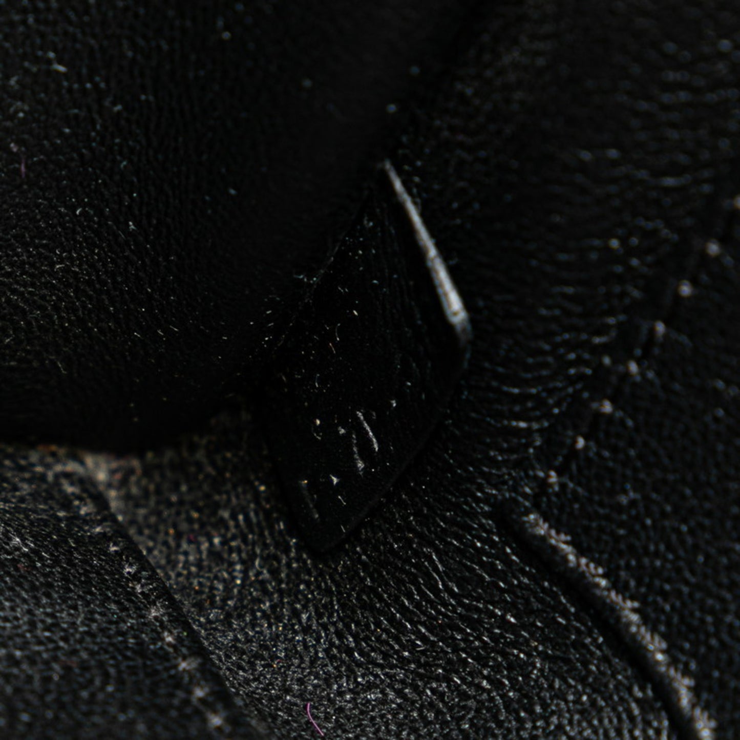 Céline Luggage