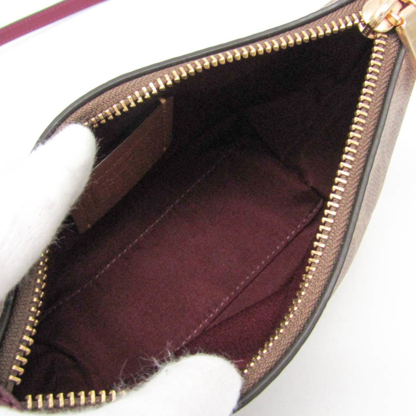 Coach Horse and carriage