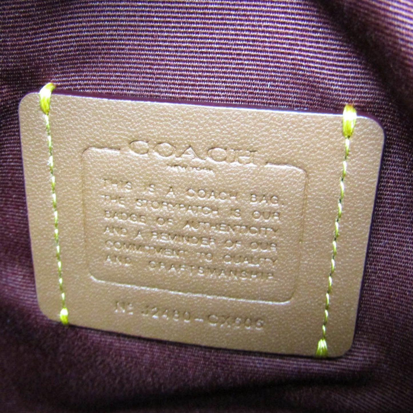 Coach Horse and carriage