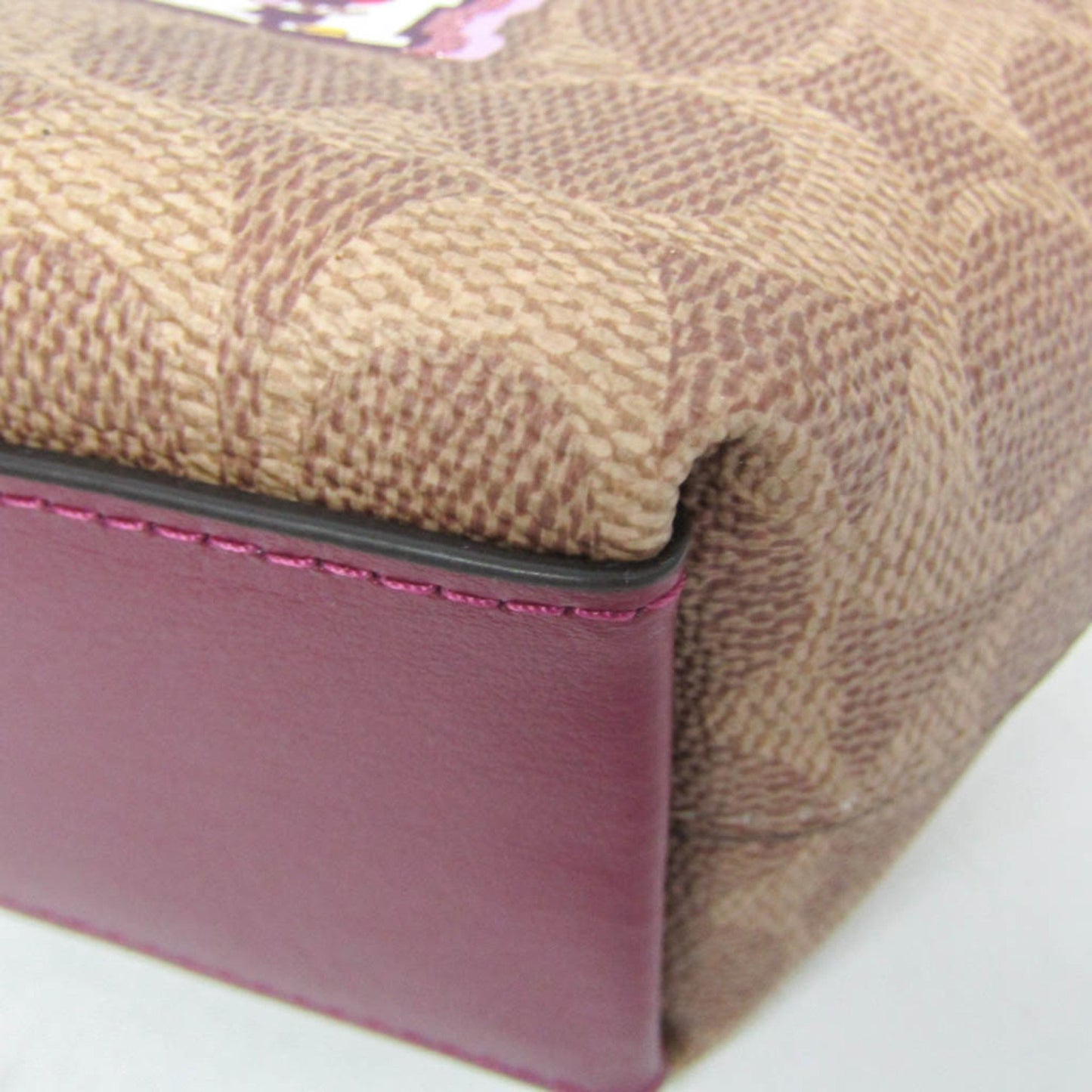 Coach Horse and carriage