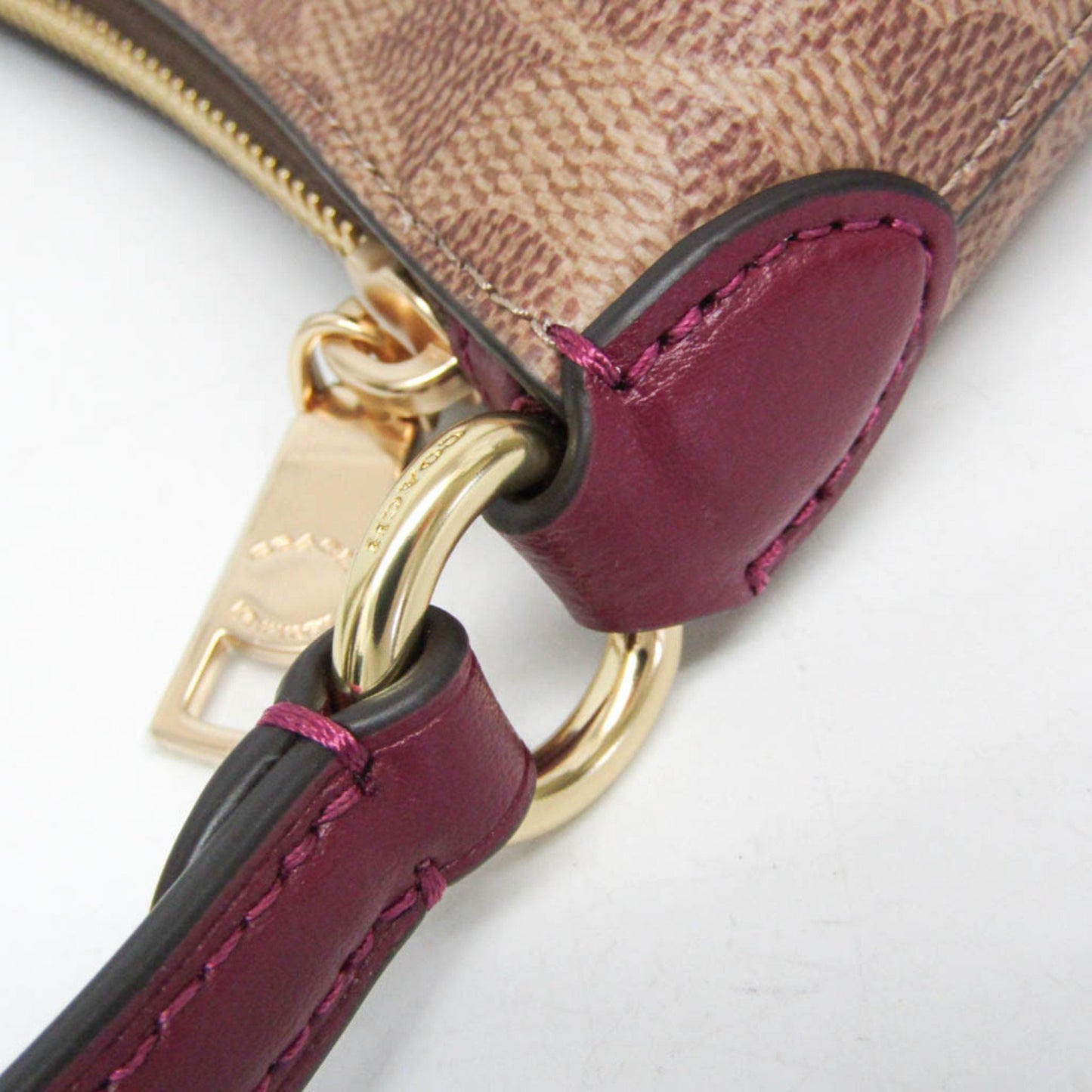 Coach Horse and carriage