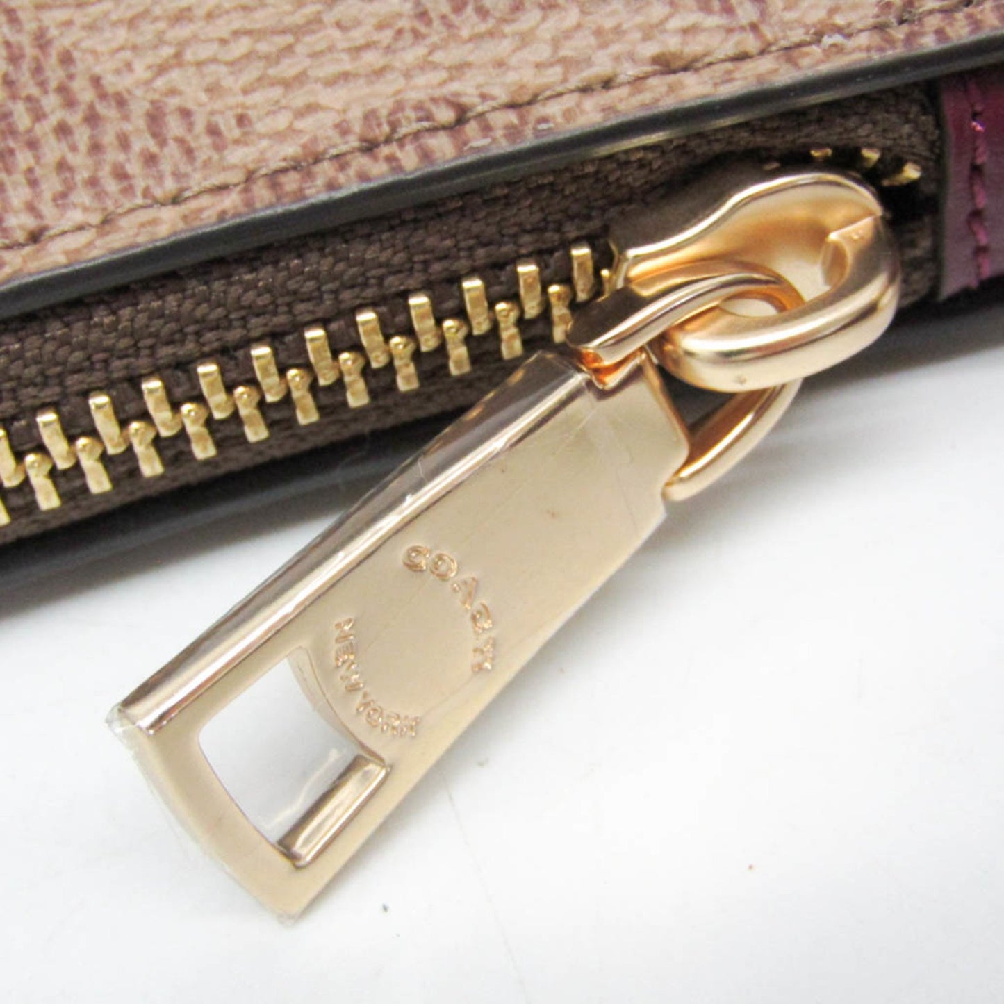 Coach Horse and carriage