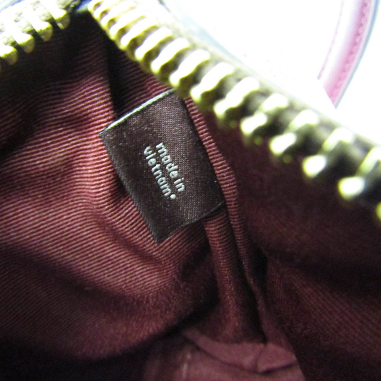 Coach Horse and carriage