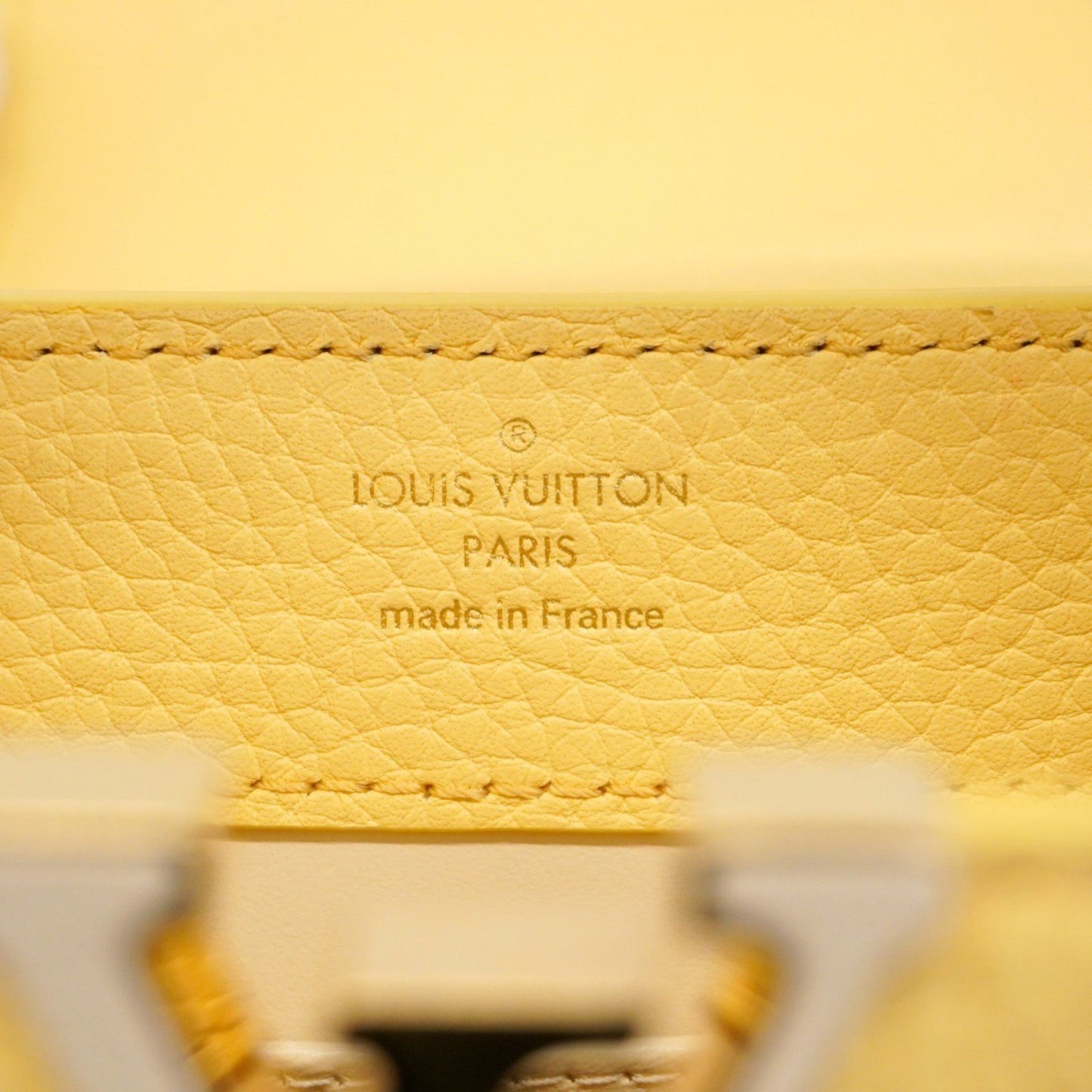 Louis Vuitton Capucines mini